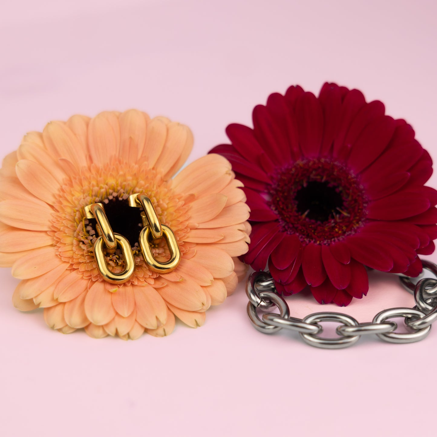 Linky Hoops