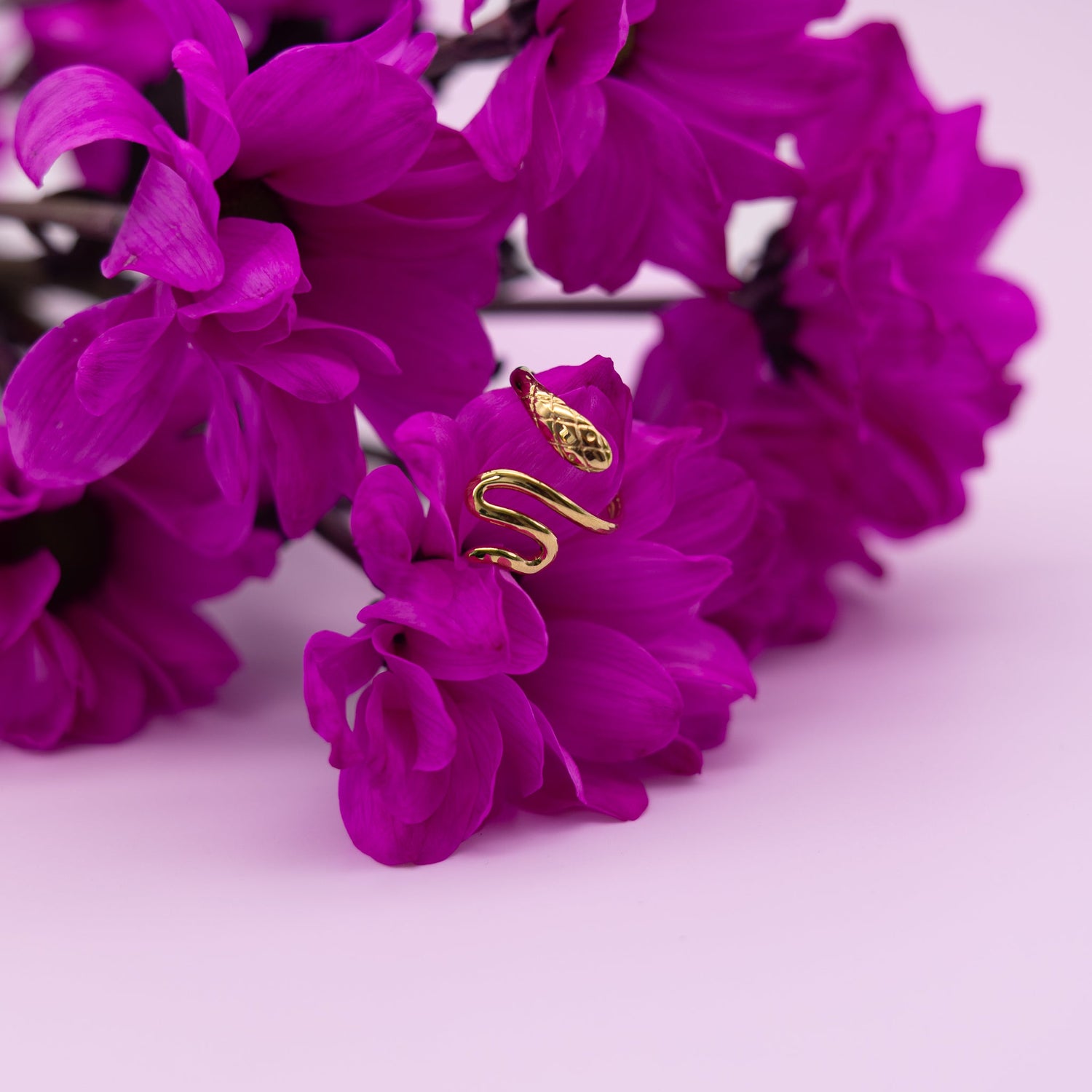 Ringen