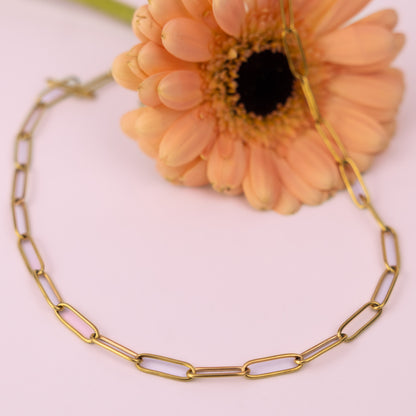 Classic Link Neckless