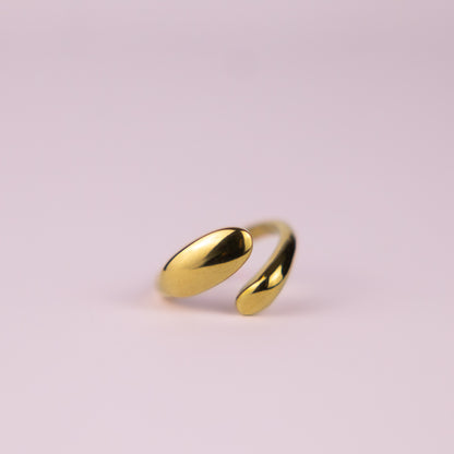 Ring Indy