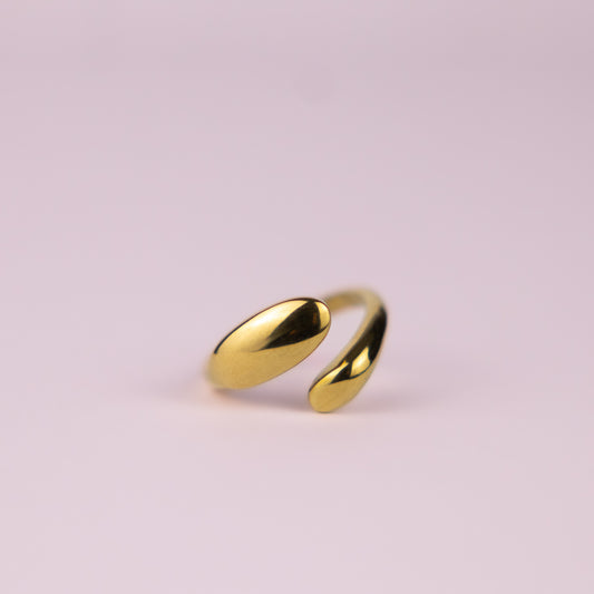 Ring Indy